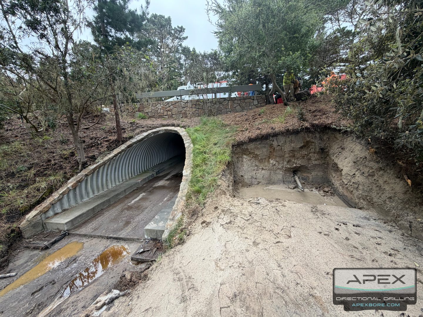 Pebble Beach site photo 35